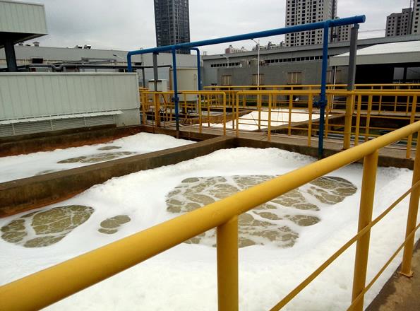 image013.jpg image013.jpg